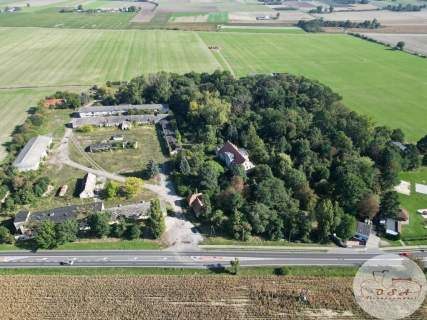 Dwór 5 km od Wrześni przy DK nr 15 działka 2,56 ha