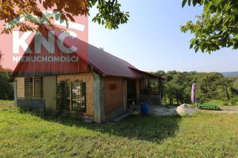 Winnica i winiarnia