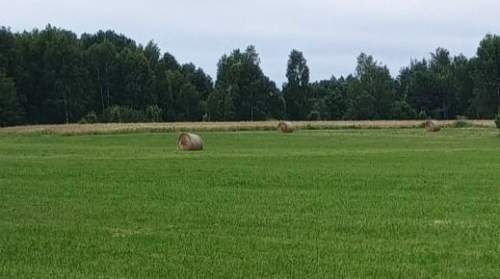 Działka w Rogówku