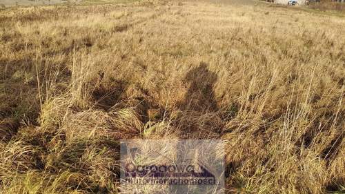Działka budowlana na sprzedaż, 1300 m2, Wolica
