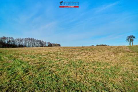 DZIAŁKI BUDOWLANE NA SPRZEDAŻ, KLESZCZYNA