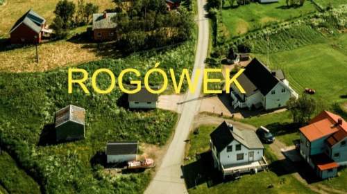 Działka w Rogówku