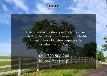 Zamieszkaj w sąsiedztwie lasu 