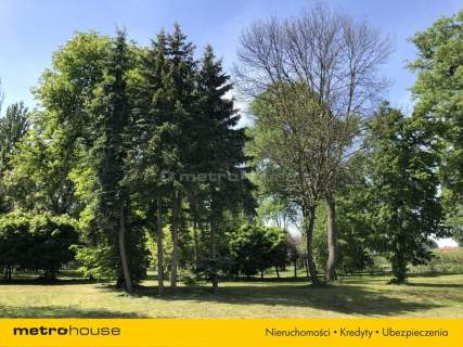 Piękny Park ze starymi drzewami i stawem