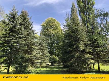 Piękny Park ze starymi drzewami i stawem
