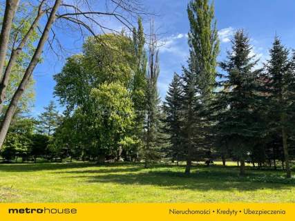 Piękny Park ze starymi drzewami i stawem