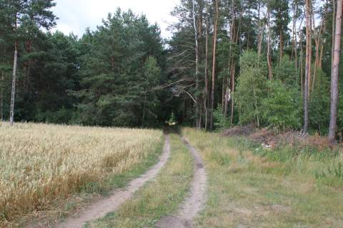 Działka rolna