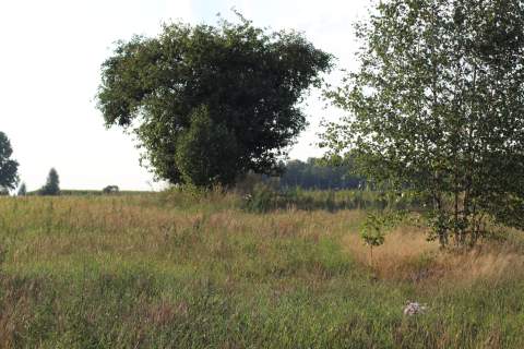 Działka rolna