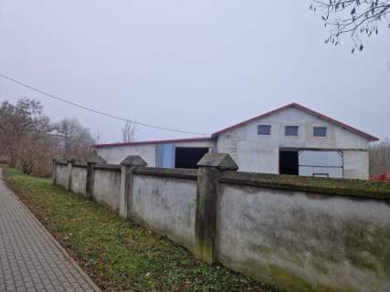 Magazyn, Hurtownia, Sklep wielkopowierzchniowy, Produkcja itp....