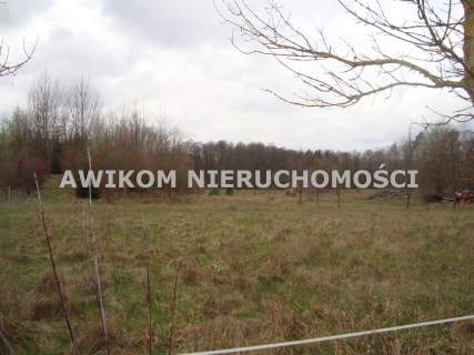 Działka rolna na sprzedaż, 13500 m2, Grzmiąca
