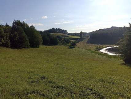 Działka rolna na sprzedaż, 50600 m2, Udziejek