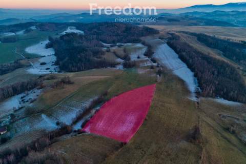 Działka rolna Barcinek, koło Jeleniej Góry