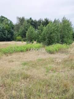 Michałów 2000 m2 budowlana