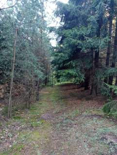 Działka rolna na sprzedaż, 50600 m2, Udziejek