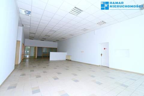 Lokal użytkowy do wynajęcia, 280 m2, Pruszków
