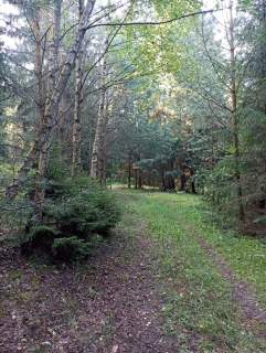 Działka rolna na sprzedaż, 50600 m2, Udziejek