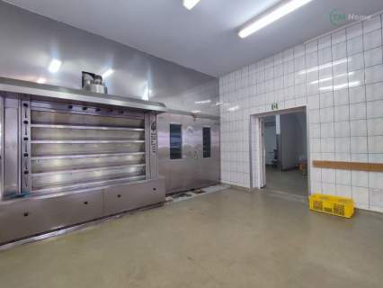 Brojce Hossoland 2 domy, ponad 7000 m2 działki
