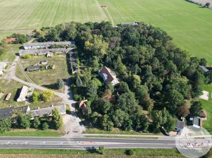 Dwór 5 km od Wrześni przy DK nr 15 działka 2,56 ha