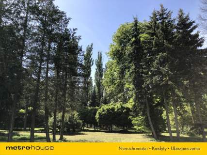 Piękny Park ze starymi drzewami i stawem
