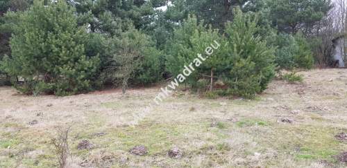 działka usługowa z MPZP 50x78