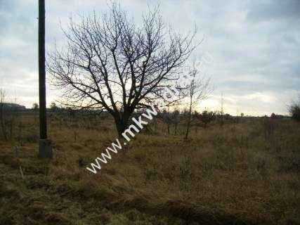 Działka inwestycyjna na sprzedaż, 5000 m2, Puszcza Mariańska