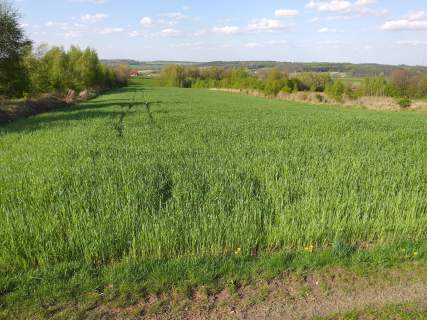 Gołyszyn, gm. Skała, działka rolna, 1,28 ha