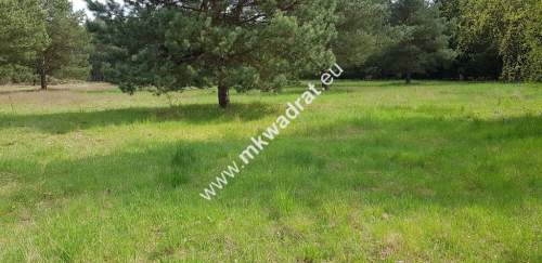 Działka 1352m2 w sąsiedztwie lasu Ojrzanów