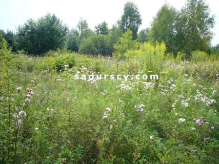 Działka budowlana na sprzedaż, 7000 m2, Władysławów