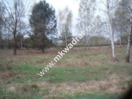 Działka budowlana na sprzedaż, 10030 m2, Słubica B