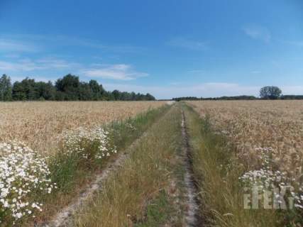 Działka rolna na sprzedaż, 67300 m2, Gurba