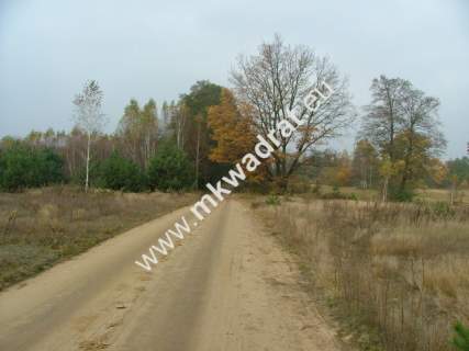 Działka budowlana na sprzedaż, 10000 m2, Nowe Polesie