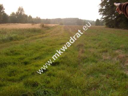 Działka budowlana na sprzedaż, 20000 m2, Nowe Budy