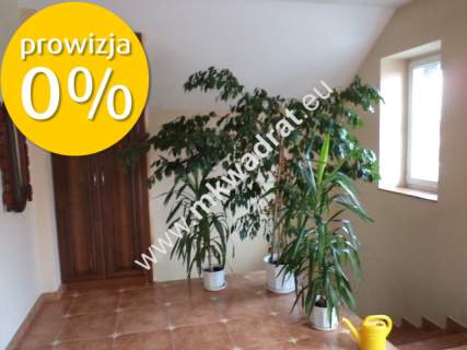 Dom z dużą działką. Też dla firmy.