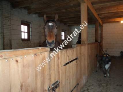Działka siedliskowa na sprzedaż, 12000 m2, Powązki