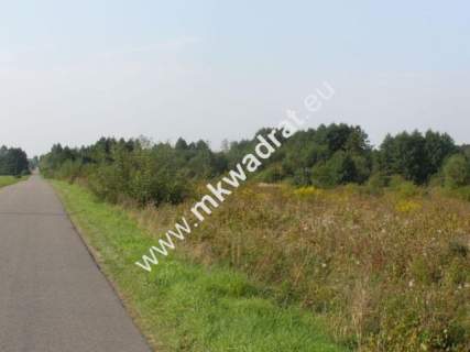 Działka budowlana na sprzedaż, 23000 m2, Radziejowice