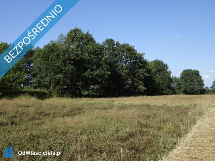 Skoczów Ochaby 62ar pod lasem nadaje się pod rekreacje
