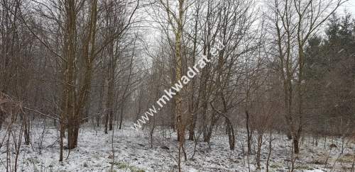Działka z planem zagospodarowania