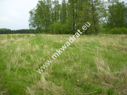 Działka budowlana na sprzedaż, 12600 m2, Budy Mszczonowskie