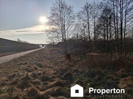 Działka inwestycyjna na sprzedaż, 8900 m2, Radziejowice-Parcel