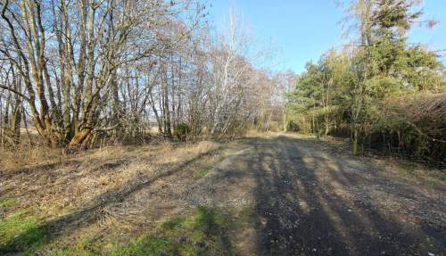 Działka nad jeziorem.