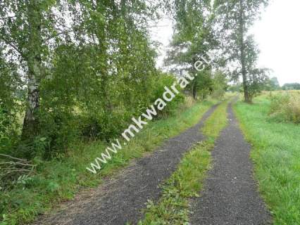 Działka siedliskowa na sprzedaż, 33400 m2, Baranów