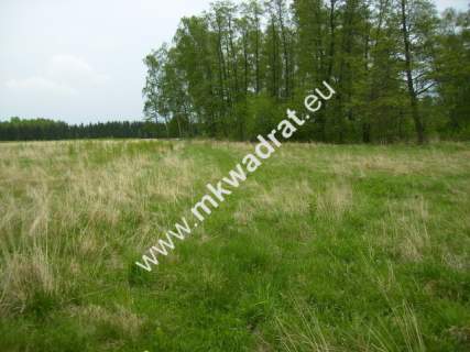 Działka budowlana na sprzedaż, 12600 m2, Budy Mszczonowskie