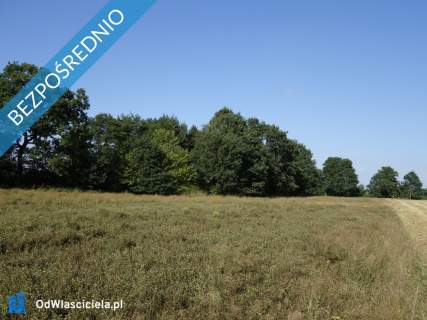 Skoczów Ochaby 62ar pod lasem nadaje się pod rekreacje