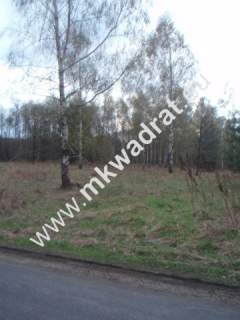 Działka budowlana na sprzedaż, 10030 m2, Słubica B