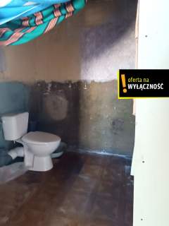 Dom z duża działką 6380m2 Niemojowice