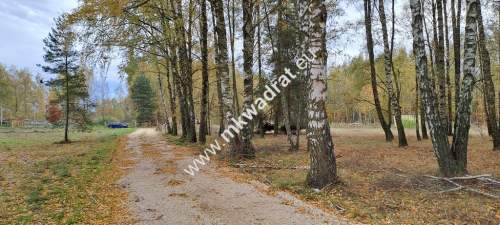Zboiska gm. Radziejowice MPZP 1300m2 S8