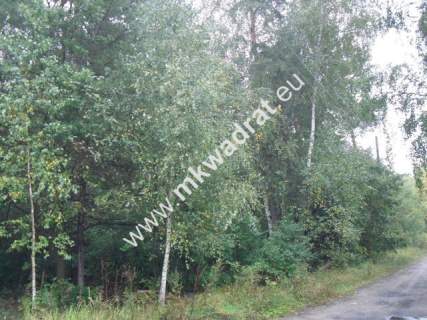 Działka budowlana na sprzedaż, 10900 m2, Stare Budy