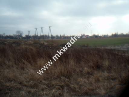 Działka inwestycyjna na sprzedaż, 10021 m2, Chrzanów Duży