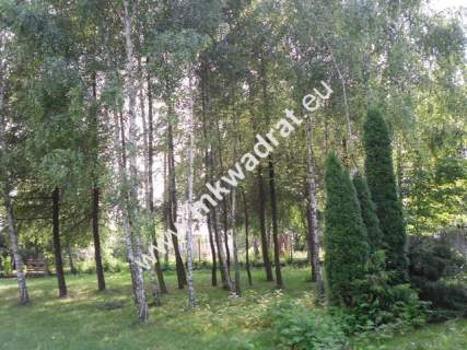 Działka budowlana na sprzedaż, 10900 m2, Stare Budy