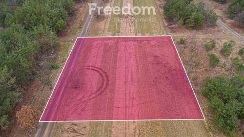 Piękna działka 1500 m2 w Grzegorzewicach